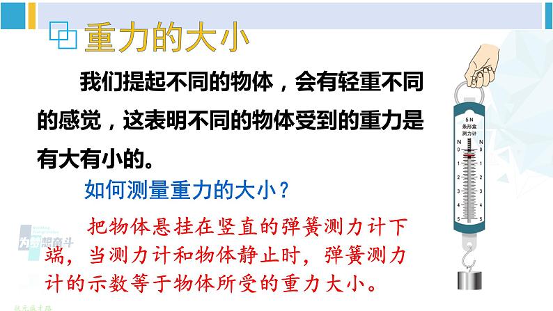 教科版八年级物理下册 第七章 力第四节 重力（课件）第5页