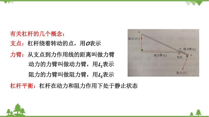 沪科版物理八年级下册 第十章机械与人第一节科学探究：杠杆的平衡条件第一课时课件第8页