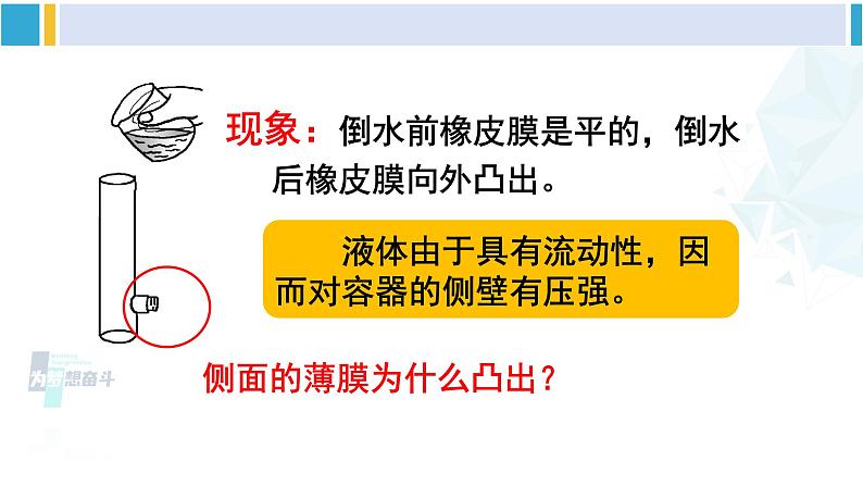 人教版八年级物理下册 第九章 压强 第一课时 液体压强的特点及大小（课件）第7页