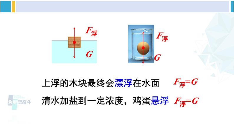 人教版八年级物理下册 第十章 浮力 第一课时 物体的浮沉条件（课件）第7页