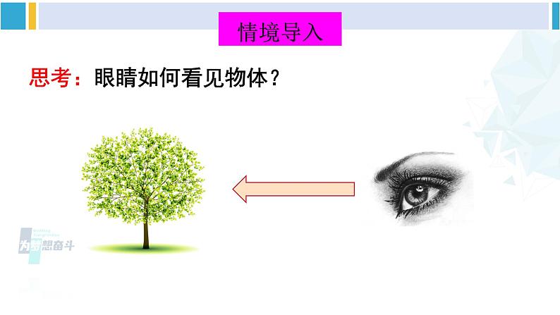 北师大版八年级物理下册 第六章 常见的光学仪器 第四节 眼睛和眼镜（课件）02