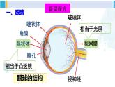 北师大版八年级物理下册 第六章 常见的光学仪器 第四节 眼睛和眼镜（课件）