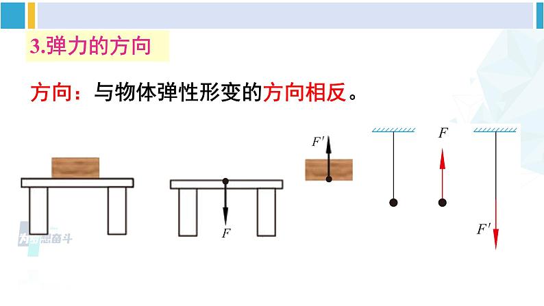 北师大版八年级物理下册 第七章 运动和力 第二节 弹力 力的测量（课件）第8页