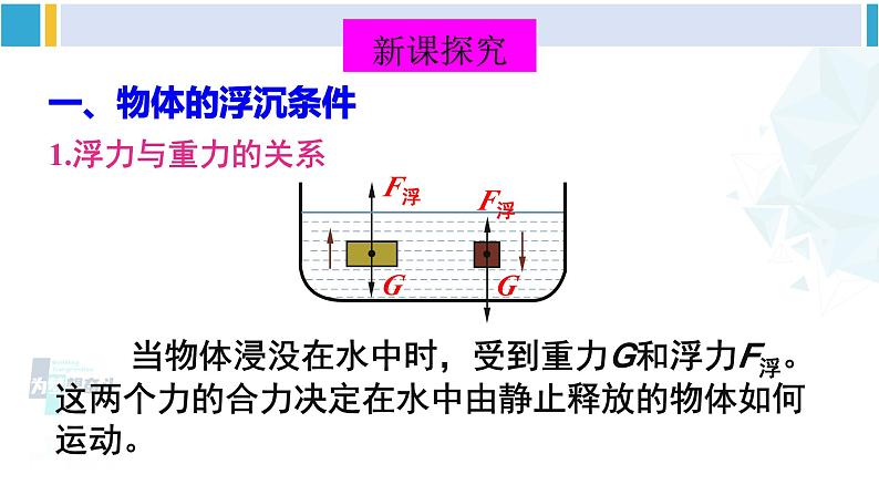 北师大版八年级物理下册 第八章 压强与浮力第六节 物体的沉浮条件（课件）第4页