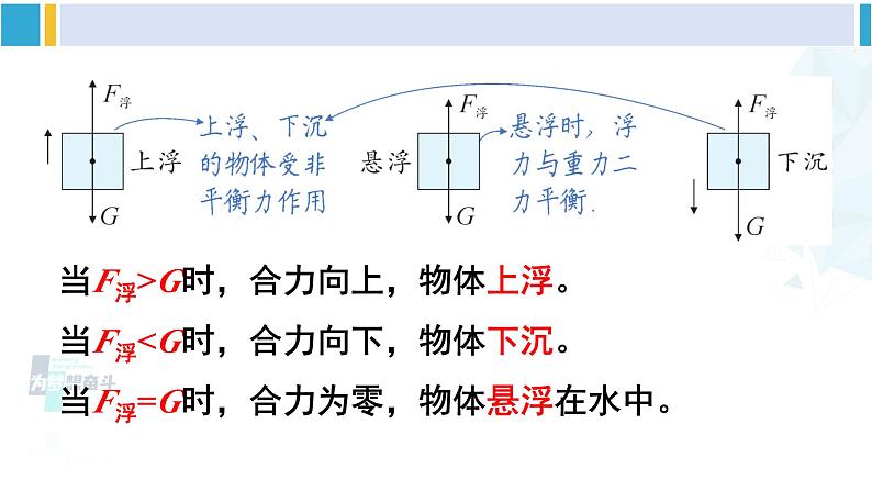 北师大版八年级物理下册 第八章 压强与浮力第六节 物体的沉浮条件（课件）第5页