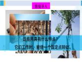 北师大版八年级物理下册 第九章 机械和功 第一节 杠杆（课件）