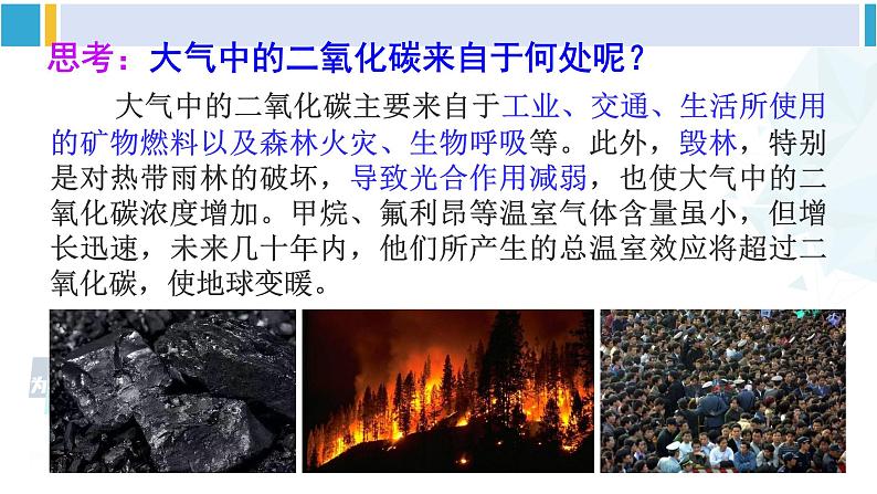 沪科版九年级物理 第十二章 温度与物态变化 第五节 全球变暖与水资源危机（课件）第5页
