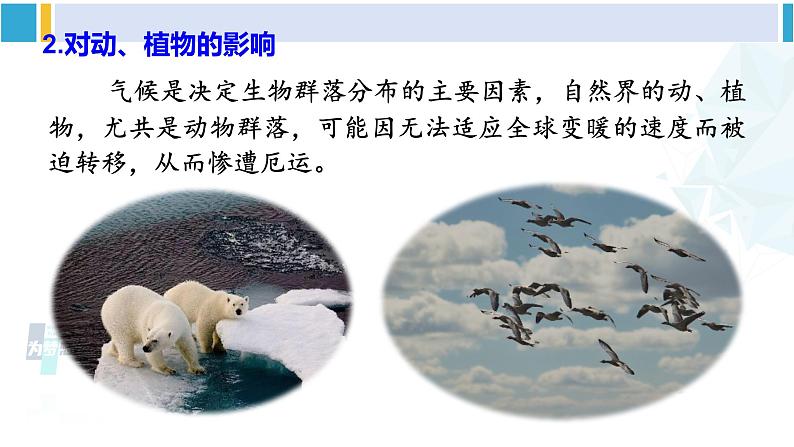 沪科版九年级物理 第十二章 温度与物态变化 第五节 全球变暖与水资源危机（课件）第7页