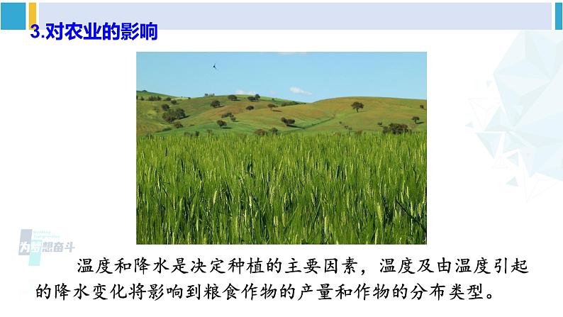 沪科版九年级物理 第十二章 温度与物态变化 第五节 全球变暖与水资源危机（课件）第8页