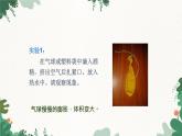 滬科版九年級(jí)物理 第十二章 第三節(jié)課時(shí)1 汽化課件