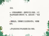 沪科版九年级物理 第十四章 第一节 电是什么课件