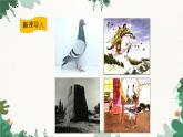 沪科版九年级物理 第十九章 第一节 感受信息课件