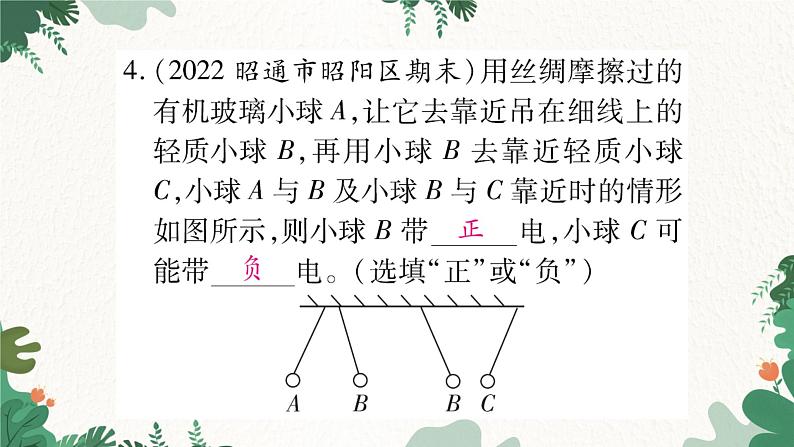 第一节  电是什么第8页