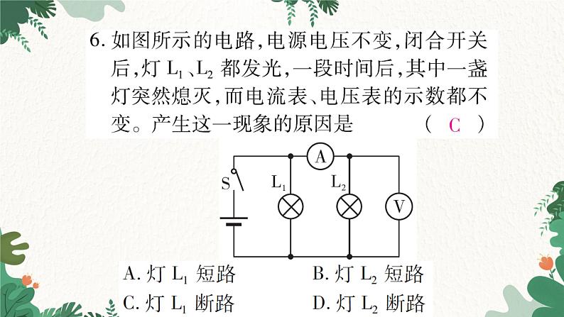 专题五：电路故障分析第8页