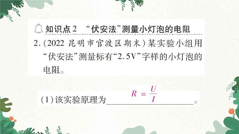 第三节  “伏安法”测电阻第8页