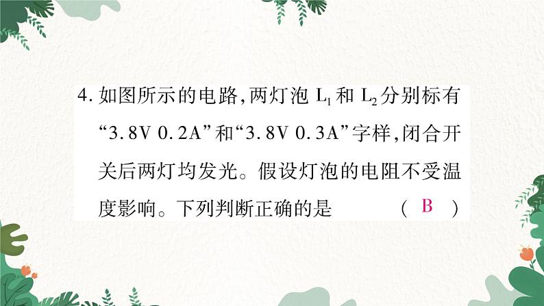 专题十一：灯泡实际功率的比较第6页