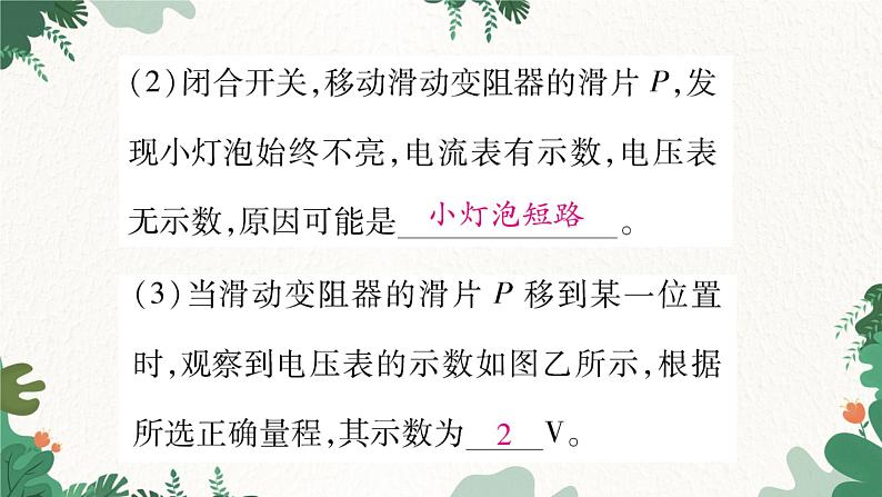 专题十三：特殊方法测电功率第4页