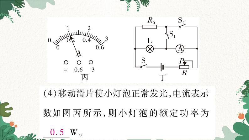 专题十三：特殊方法测电功率第5页