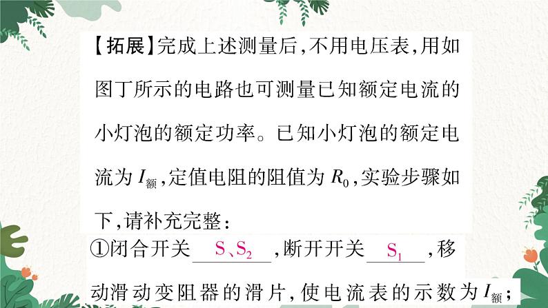 专题十三：特殊方法测电功率第6页