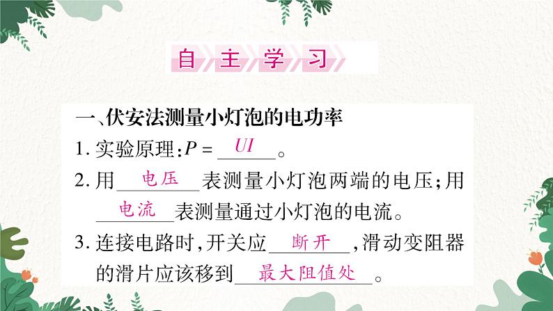 第三节  测量电功率第2页