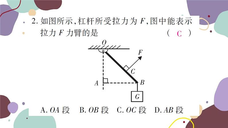 课时1  杠杆及其平衡条件第6页