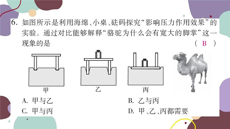 沪科版物理八年级下册 第八章压强检测卷课件第7页