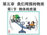 沪粤版物理八年级上册5.1物体的质量(2)课件
