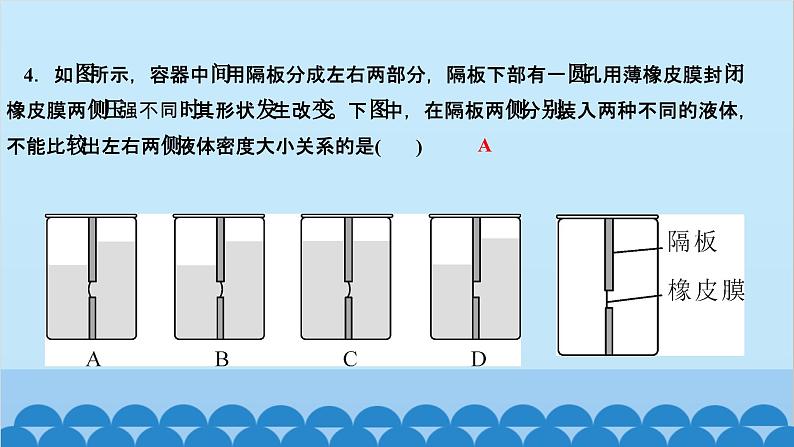 人教版物理八年级下册 第九章 压强 阶段检测(第1～2节) 课件第5页