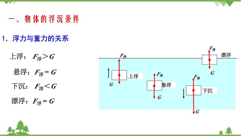 10.3物体的浮沉条件及应用第5页