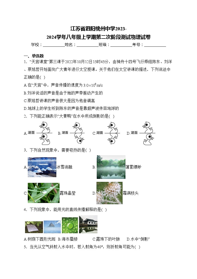 江苏省泗阳桃州中学2023-2024学年八年级上学期第二次阶段测试物理试卷(含答案)01