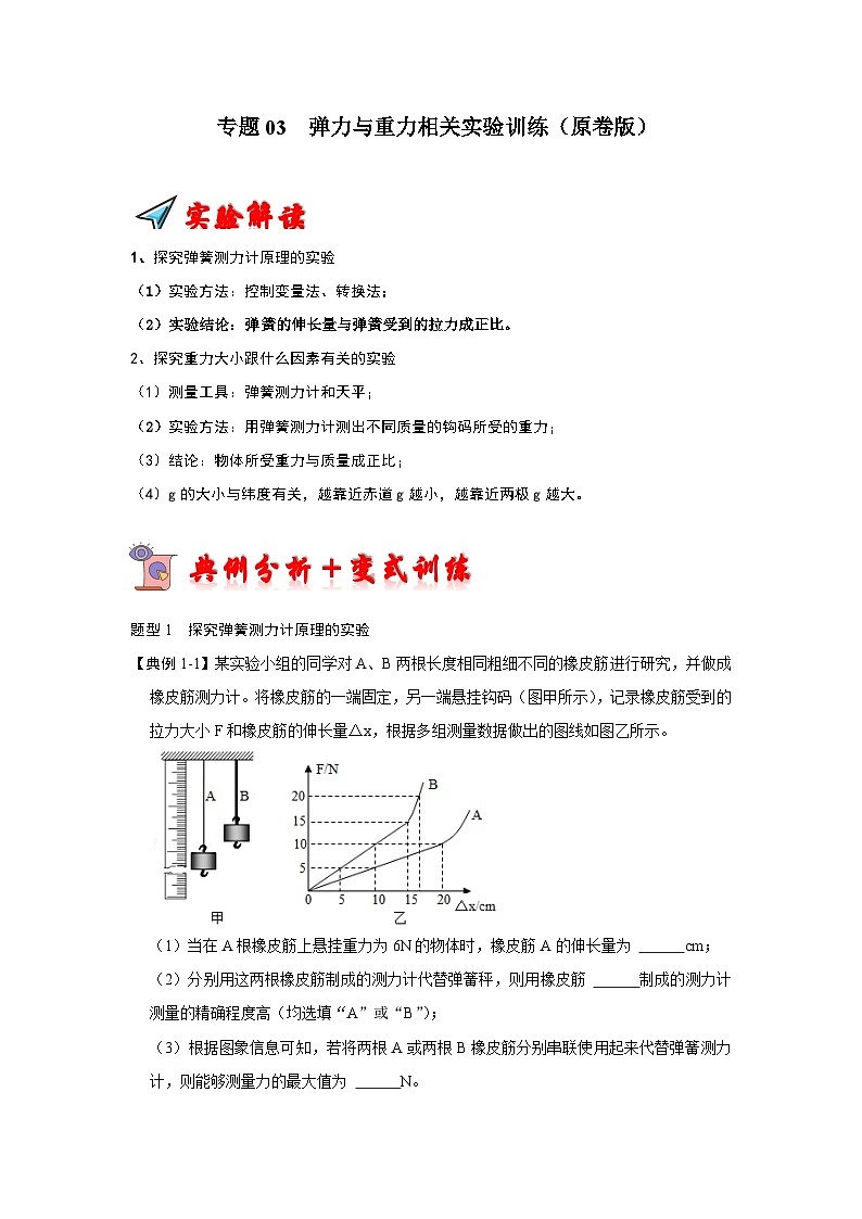 专题03  弹力与重力相关实验训练-2023-2024学年八年级下册物理阶段性专题复习及模拟测试（苏科版）01