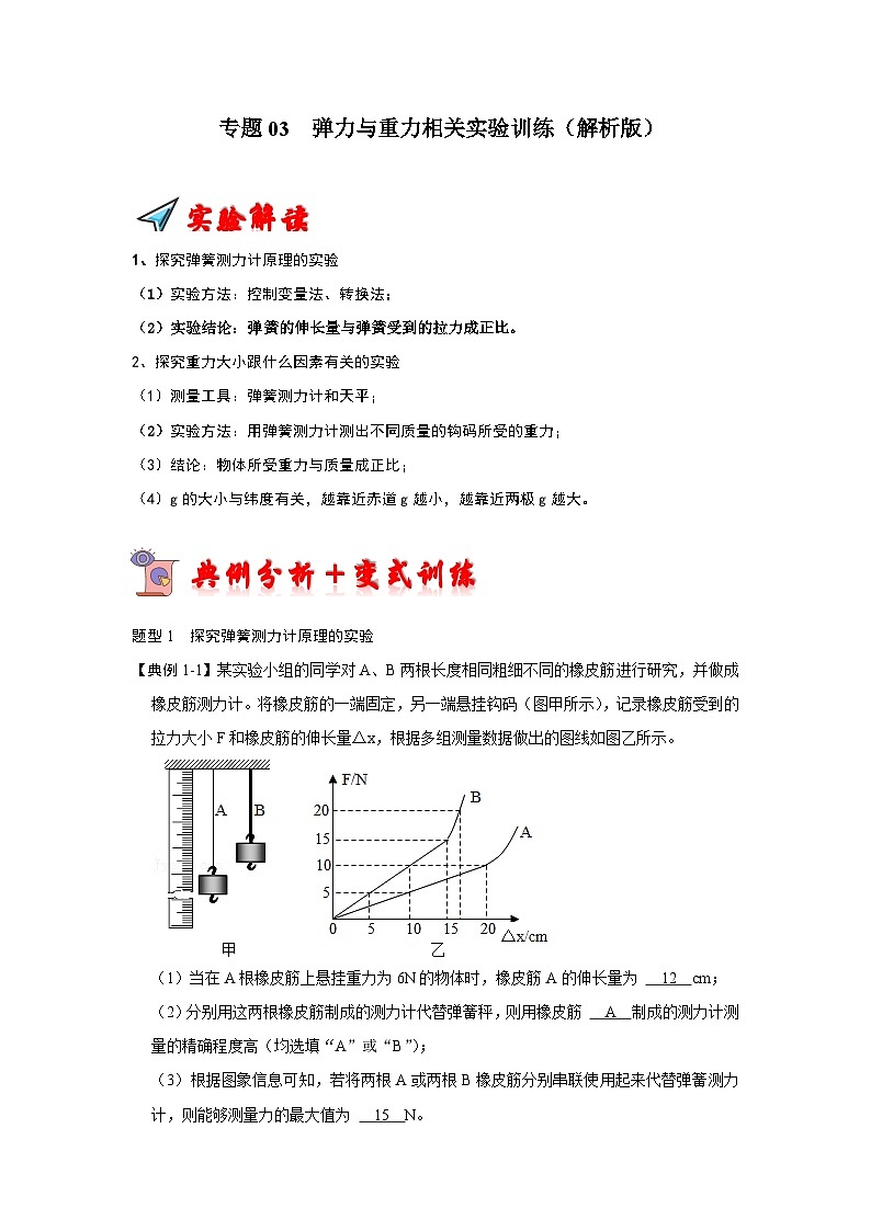 专题03  弹力与重力相关实验训练-2023-2024学年八年级下册物理阶段性专题复习及模拟测试（苏科版）01