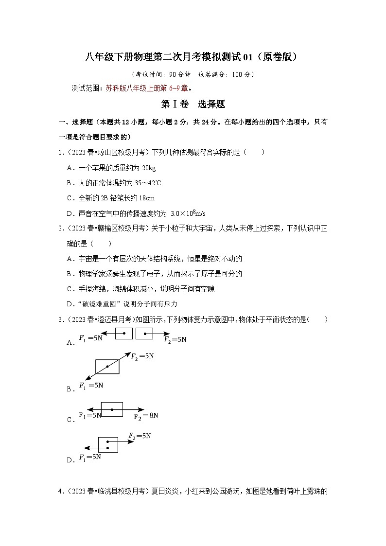 八年级下册物理第二次月考模拟测试01（第6~9章）2023-2024学年八年级下册物理阶段性专题复习及模拟测试（苏科版）01