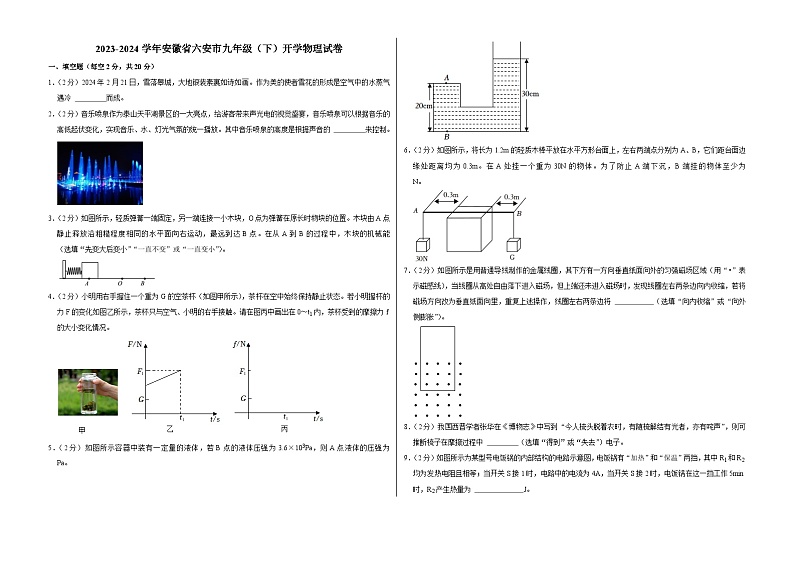 安徽省六安市2023-2024学年九年级下学期开学物理试卷01