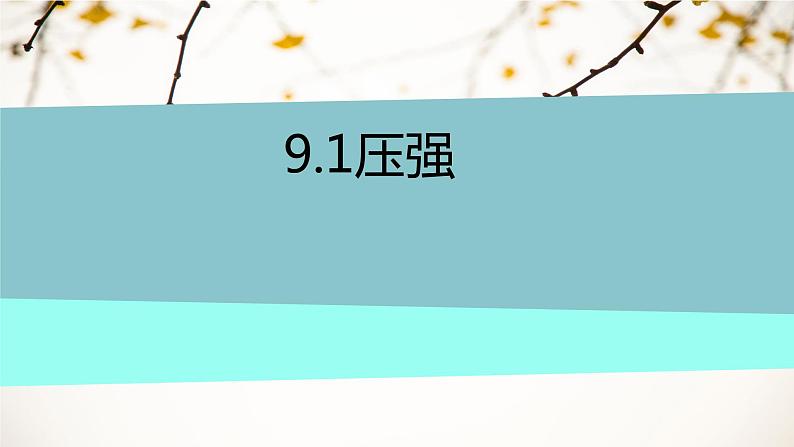 9.1压强课件--2023-2024学年人教版物理八年级下学期+第1页