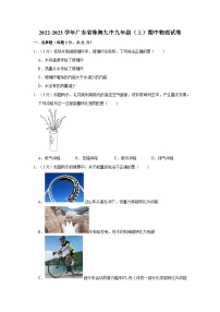 2022-2023学年广东省珠海九中九年级（上）期中物理试卷