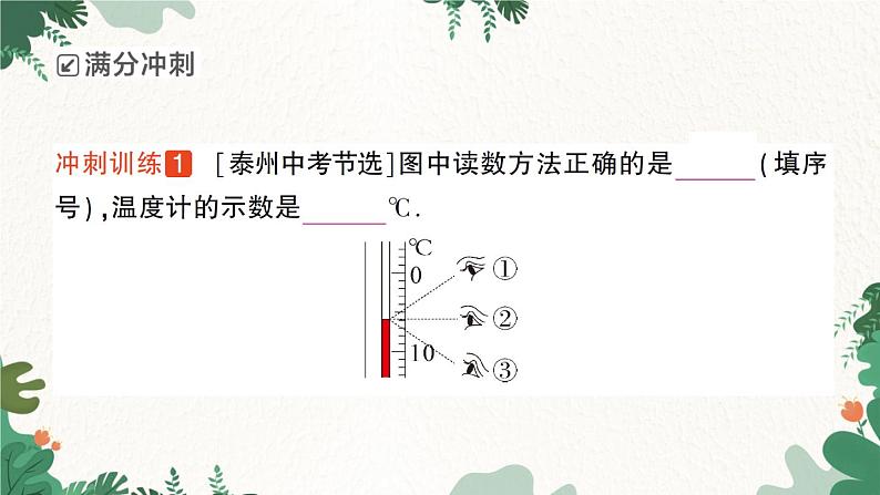 北师大版物理八年级上册 第一章 物态及其变化习题课件08