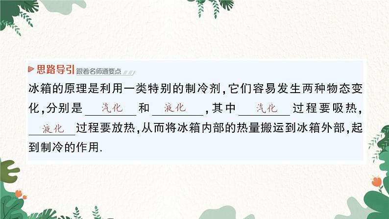 北师大版物理八年级上册 第一章 物态及其变化习题课件08