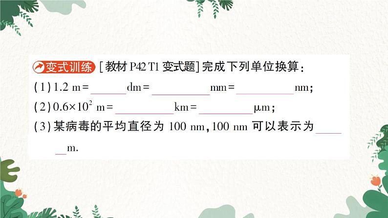 北师大版物理八年级上册 第二章 物质世界的尺度、质量和密度习题课件07