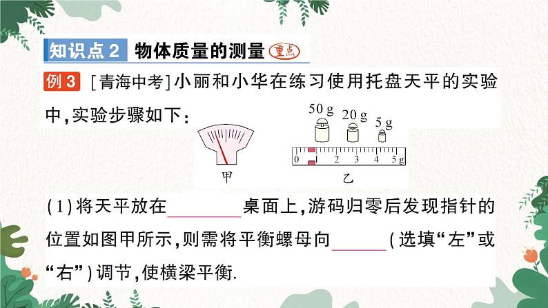 北师大版物理八年级上册 第二章 物质世界的尺度、质量和密度习题课件06