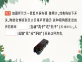 北师大版物理八年级上册 第四章 声现象习题课件