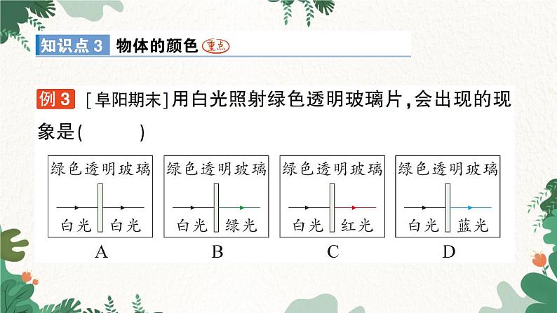 北师大版物理八年级上册 第五章 光现象习题课件06