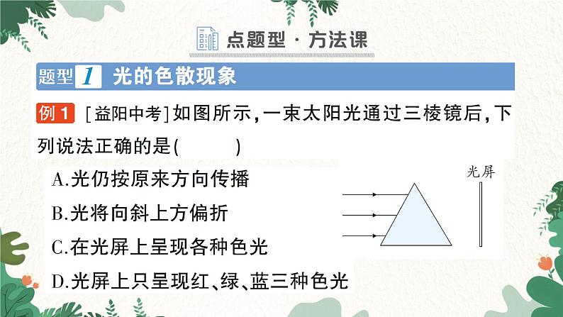 北师大版物理八年级上册 第五章 光现象习题课件08