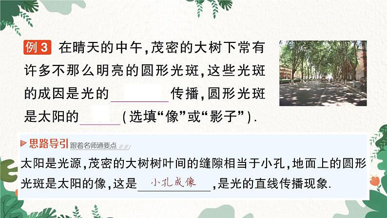 北师大版物理八年级上册 第五章 光现象习题课件08