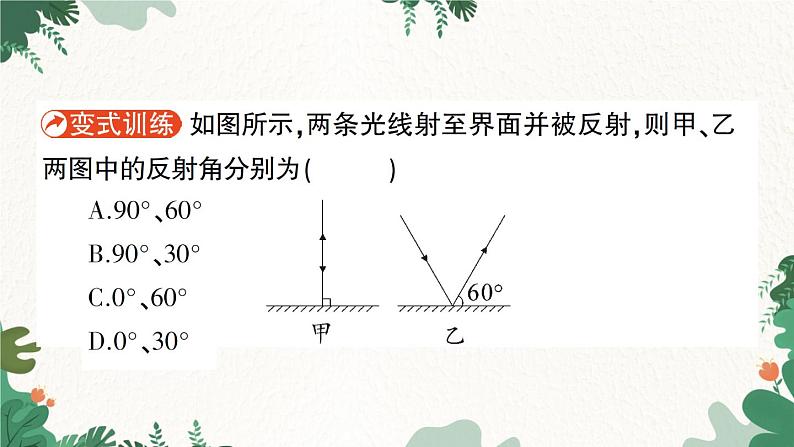 北师大版物理八年级上册 第五章 光现象习题课件03