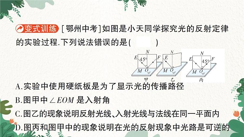 北师大版物理八年级上册 第五章 光现象习题课件08