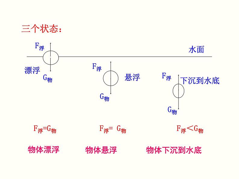 人教版物理八年级下册 10.3物体浮沉条件 课件08