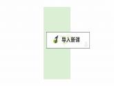 11.1 杠杆-苏科版九年级上册物理第十一章《简单机械和功》PPT课件