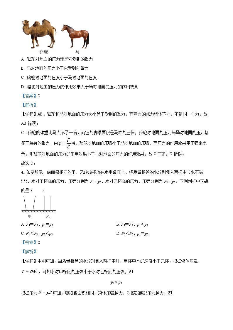 03，上海市存志学校2023-2024学年九年级上学期第一次月考物理试题02