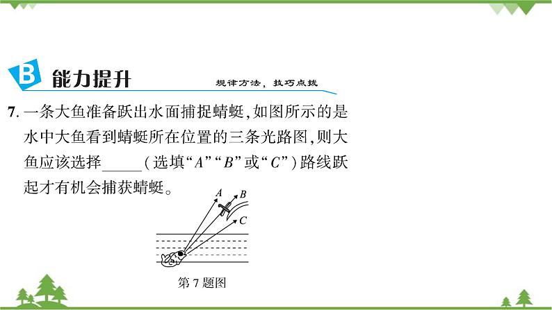 3.4探究光的折射规律第7页